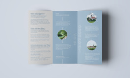 Grafikdesign, Art Direktion