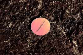  Grafikdesign, Art Direktion