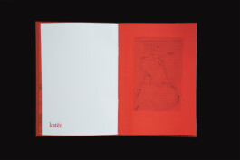 Grafikdesign, Art Direktion