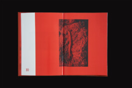 Grafikdesign, Art Direktion