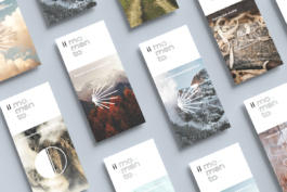  Grafikdesign, Art Direktion