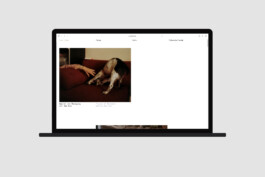 Grafikdesign, Art Direktion