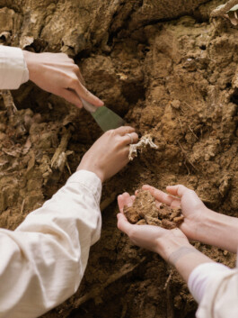 Grafikdesign, Art Direktion