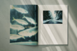  Grafikdesign, Art Direktion