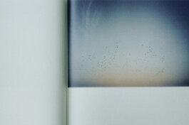  Grafikdesign, Art Direktion